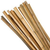 BAMBOO GARDEN CANES 7' PACK/10 (213cm)