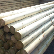 3.6x125mm ROUND POLE (12'x5") UNPOINTED & TREATED          *