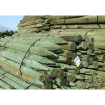 1.68x75-100mm ROUND(5'6x3-4) Pointed & Treated Stake