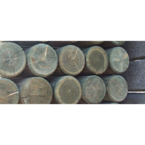 1.8x75-100mm ROUND(6'x3-4") UC4 Pointed & Treated Stake