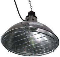 STANDARD INFRA RAY LAMP UNIT, ES FITT CW GUARD (TA212)